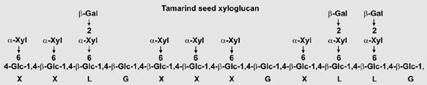 Tamarind seed xyloglucan
